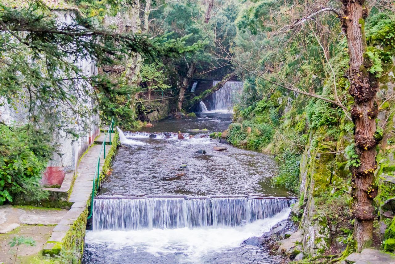 Quintal De Alem Do Ribeiro-Turismo Rural Lousã Kültér fotó