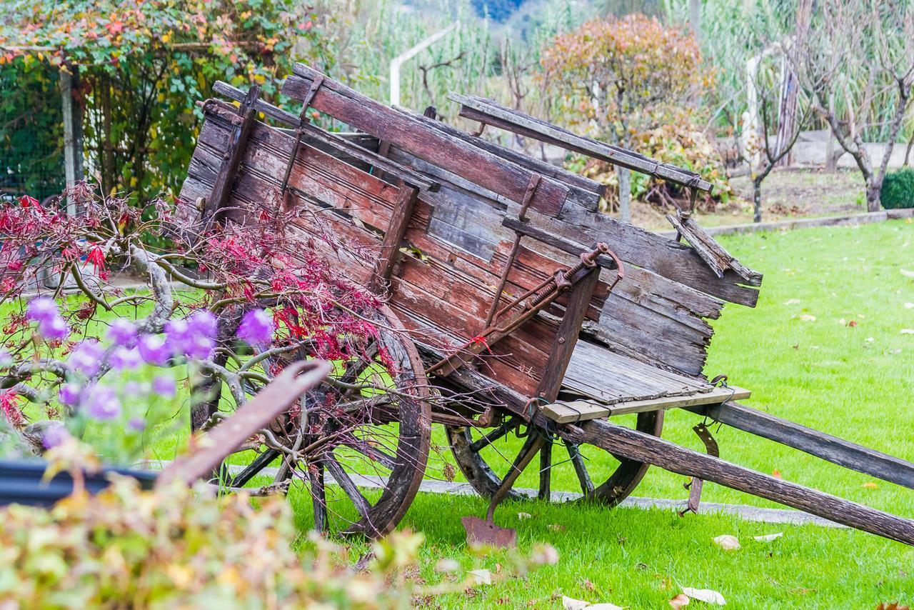 Quintal De Alem Do Ribeiro-Turismo Rural Lousã Kültér fotó
