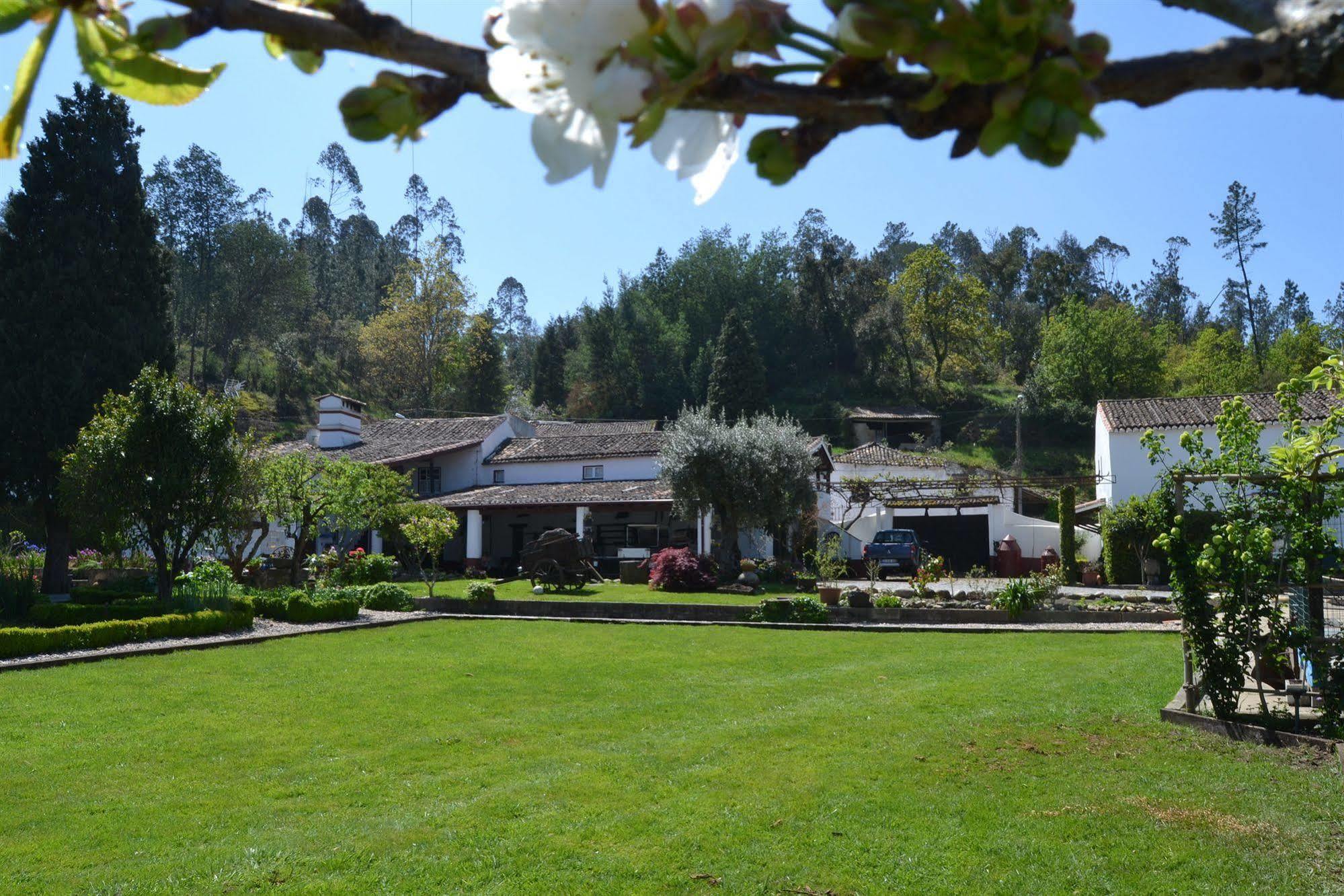 Quintal De Alem Do Ribeiro-Turismo Rural Lousã Kültér fotó